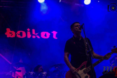 Vinarock_11